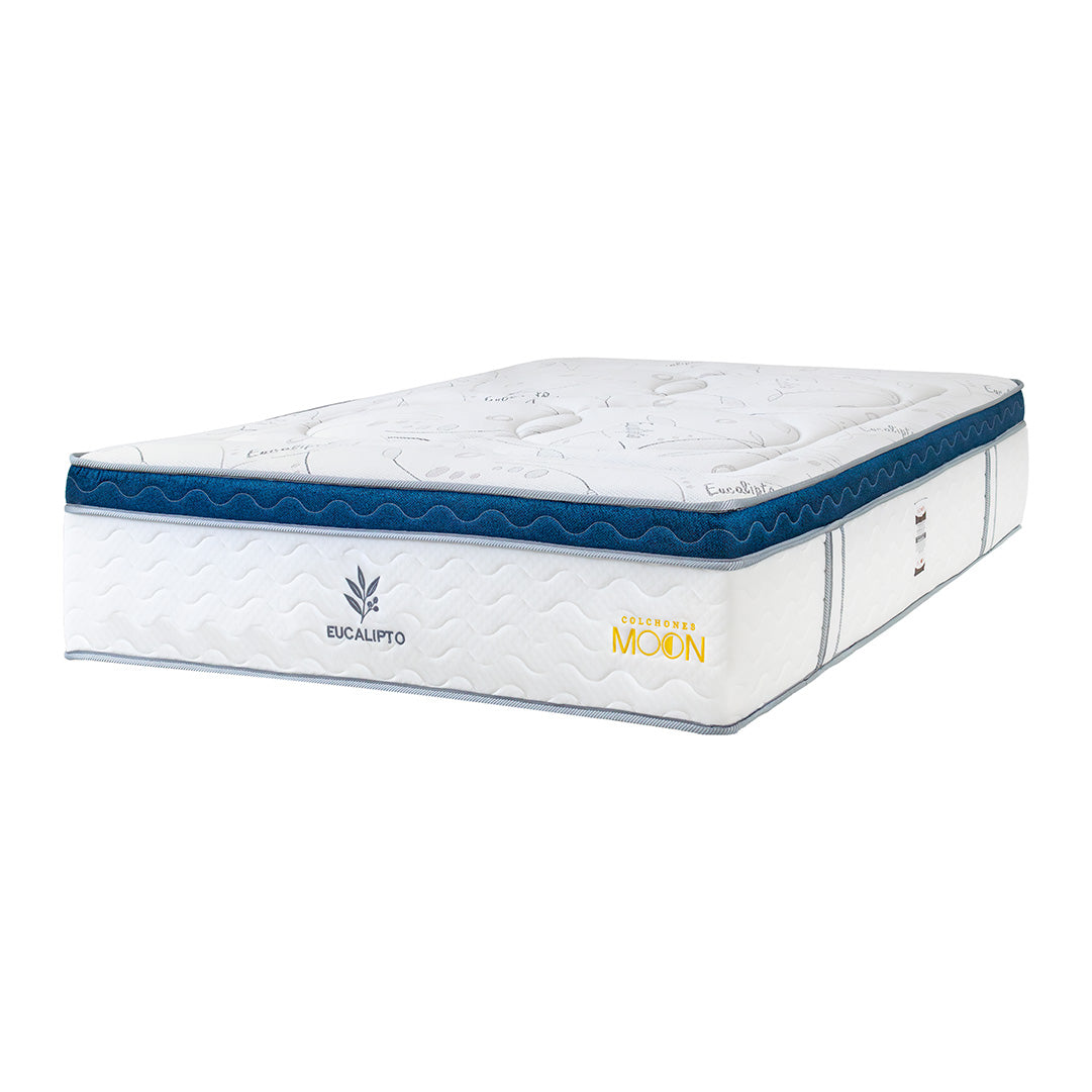 Moon Box Eucalipto