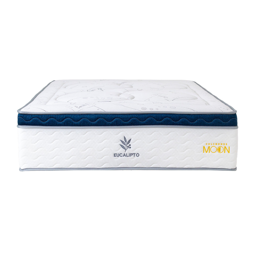 Moon Box Eucalipto