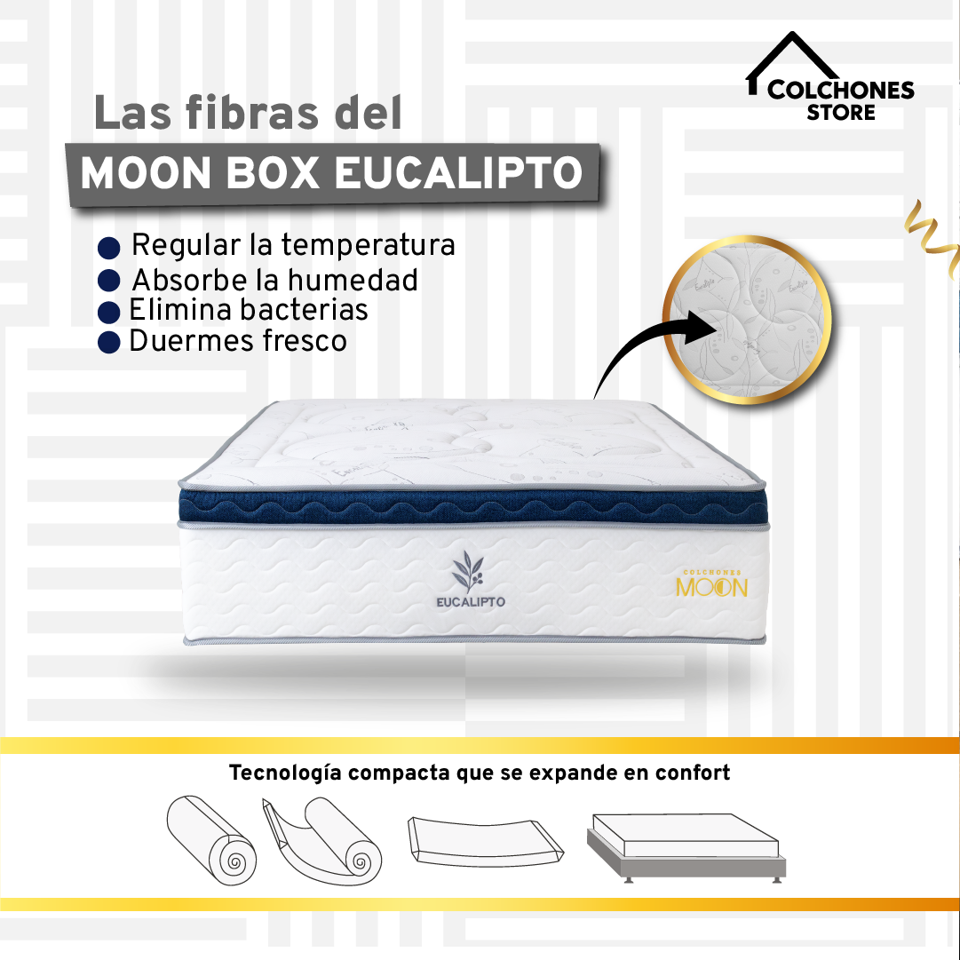 Moon Box Eucalipto