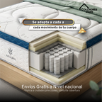 Moon Box Eucalipto