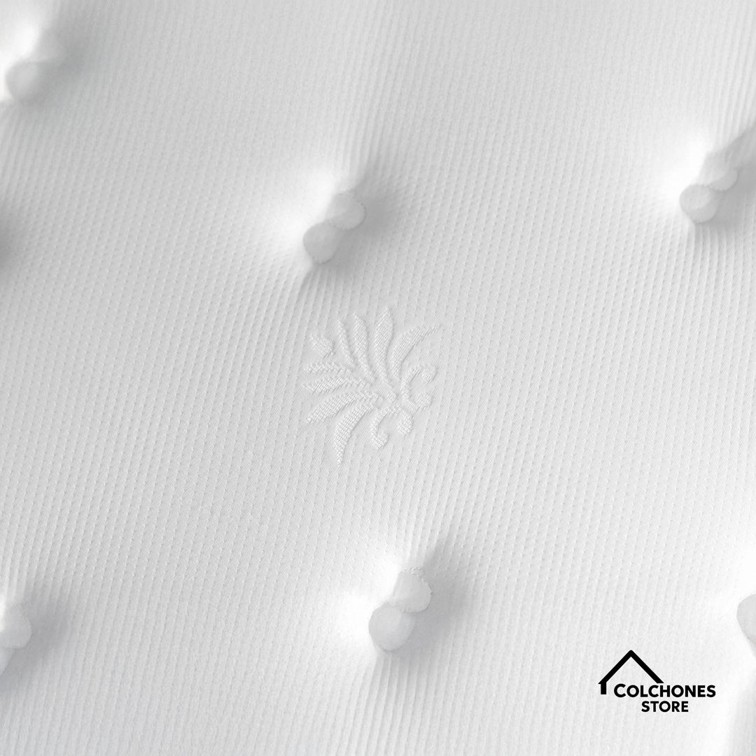 Ortholife Foam 24 - Paraiso